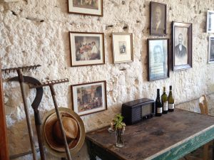 the wine cellar of the Minardi Winery