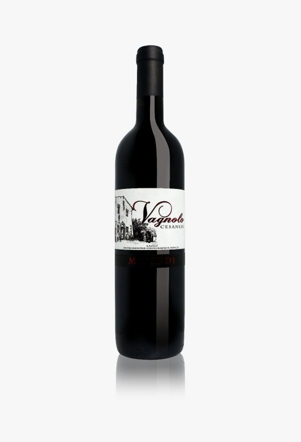 Vagnolo IGT Red Wine - Minardi Frascati Winery